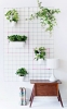 Small Space Problems & Their Genius Solutions